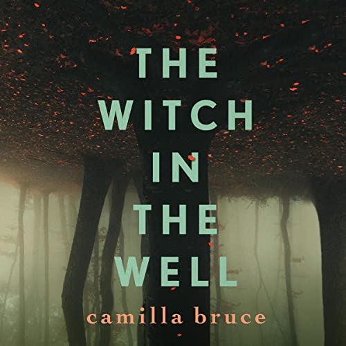 The Witch in the Well by Camilla Bruce: Dark and Dangerous