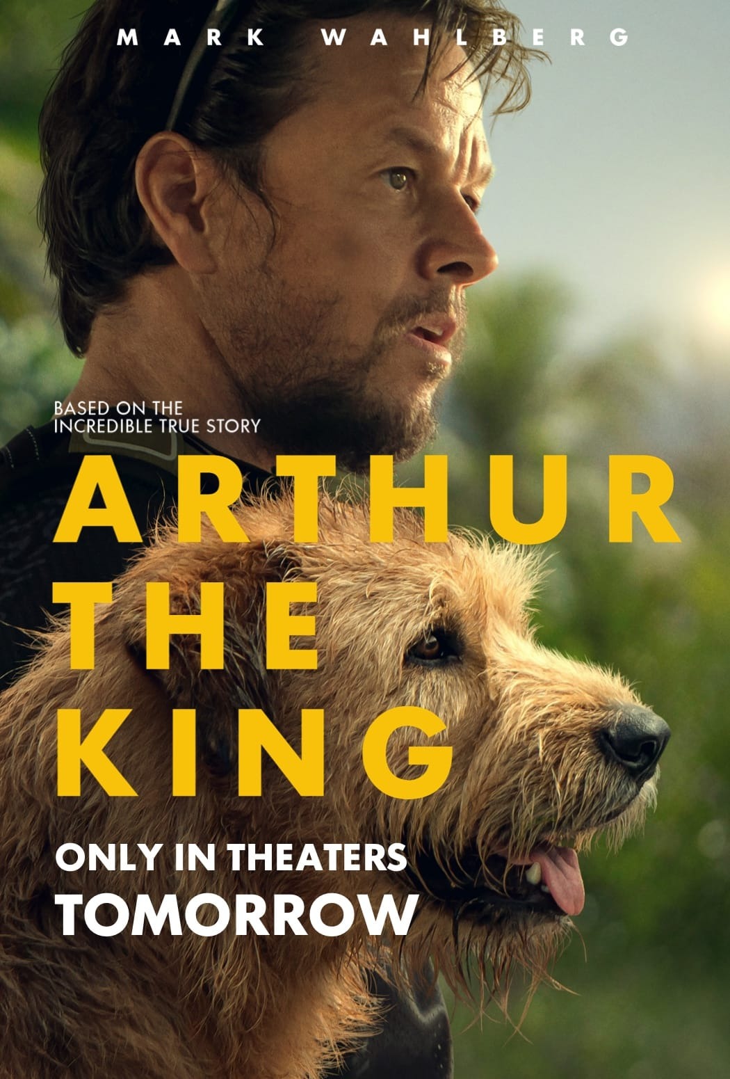 Arthur the King: Moving and Heartwarming